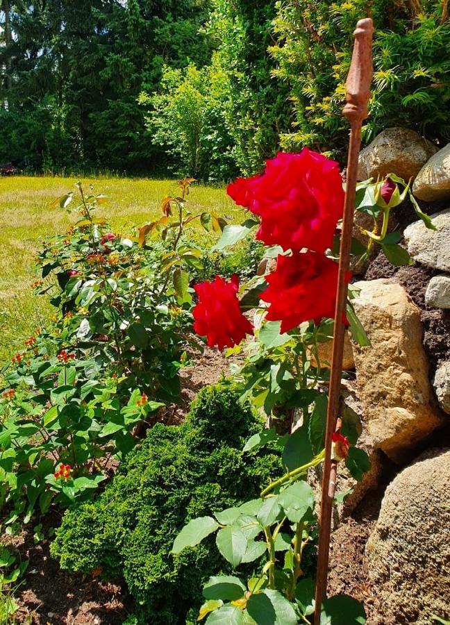 Sonnenterrasse: Komfort-ferienwohnung In Der Lüneburger Heide *